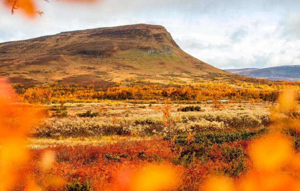 Fjällpromenad med musikguide – Mittåkläppen